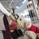 Terapie cu căței pe aeroporturile din Italia